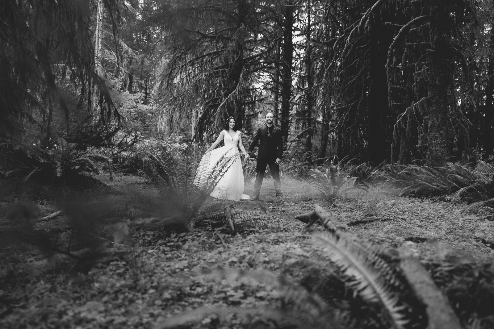 Couple small beneath the misty Hoh Rainforest canopy, Olympic National Park elopement